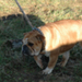 longvilliers_20090118_0210.JPG