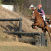 longvilliers_20090118_015b.jpg