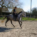 fred-pineupeduparc-040309c.jpg