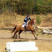 20090307_st_mars_5.jpg