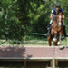 fontenay_cce_juin09a.jpg