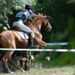 fontenay_cce_juin09b.jpg