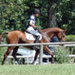 fontenay_cce_juin09b2.jpg
