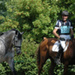 fontenay_cce_juin09c.jpg