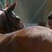 fontenay_cce_juin09e.jpg