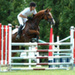 fontenay_cce_juin09cso.jpg