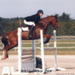 sologn-pony09_agathe-oublon1.jpg