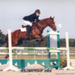 sologn-pony09_agathe et oublon de brunel