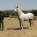 Balcanio_1.jpg
