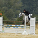 pineupe-du-parc_cso2.jpg