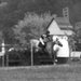 pineupe-du-parccross2.jpg