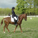 web_0000_DSC_0856.JPG.jpg