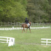 web_0001_DSC_0858.JPG.jpg