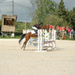 web_0004_DSC_0874.JPG.jpg