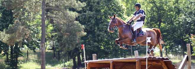 Compétition poneys & chevaux, les écuries du perche sur les terrains de concours !